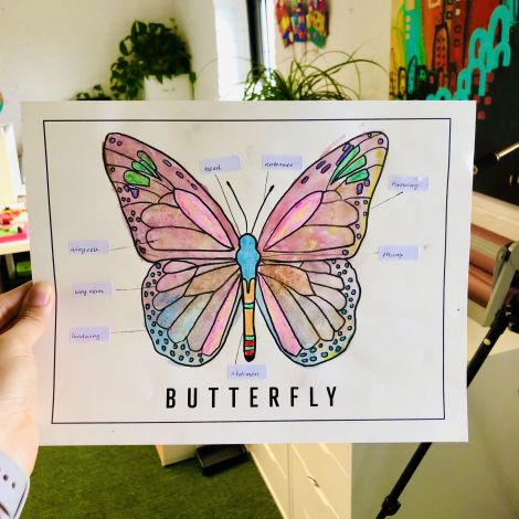 Butterfly Colorsheet