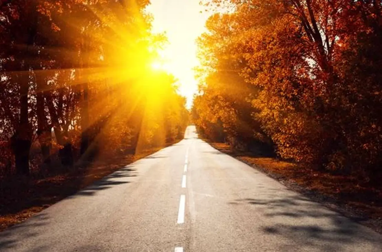 Landevej med lav sol