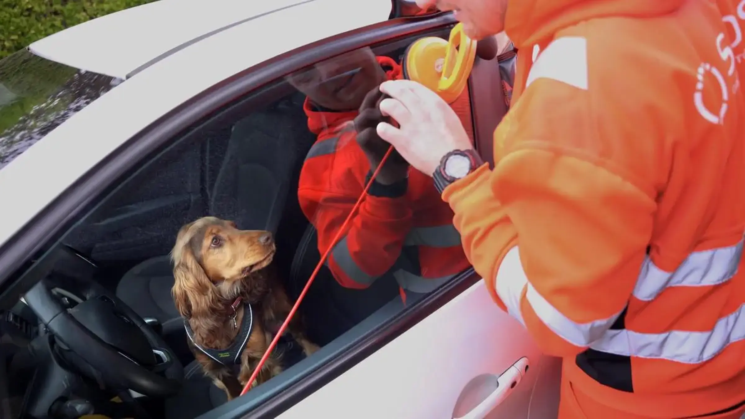 Hund er spærret inde i bil. Autoredder forsøger at lave en døroplukning, så hunden kan komme ud