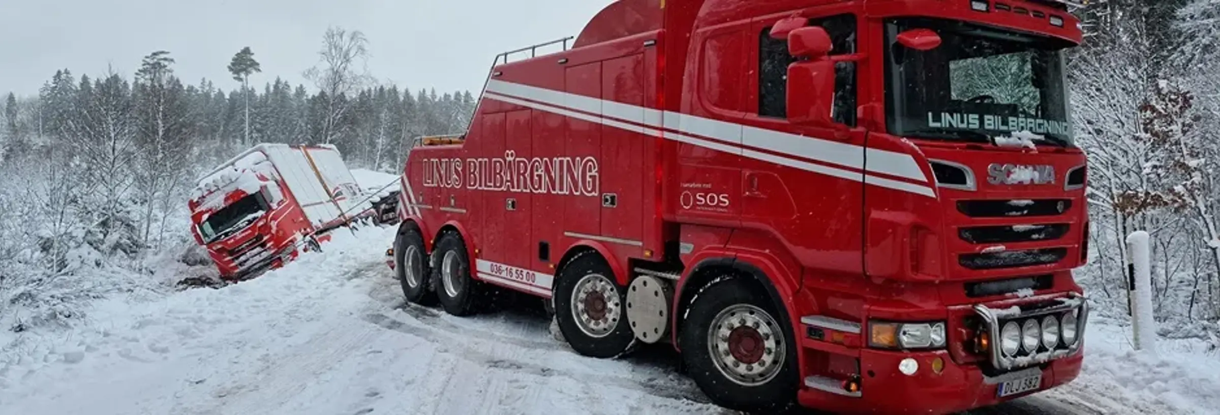 Linus Bus2