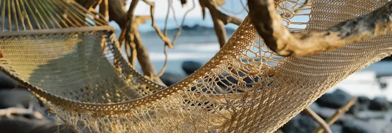 Hammock