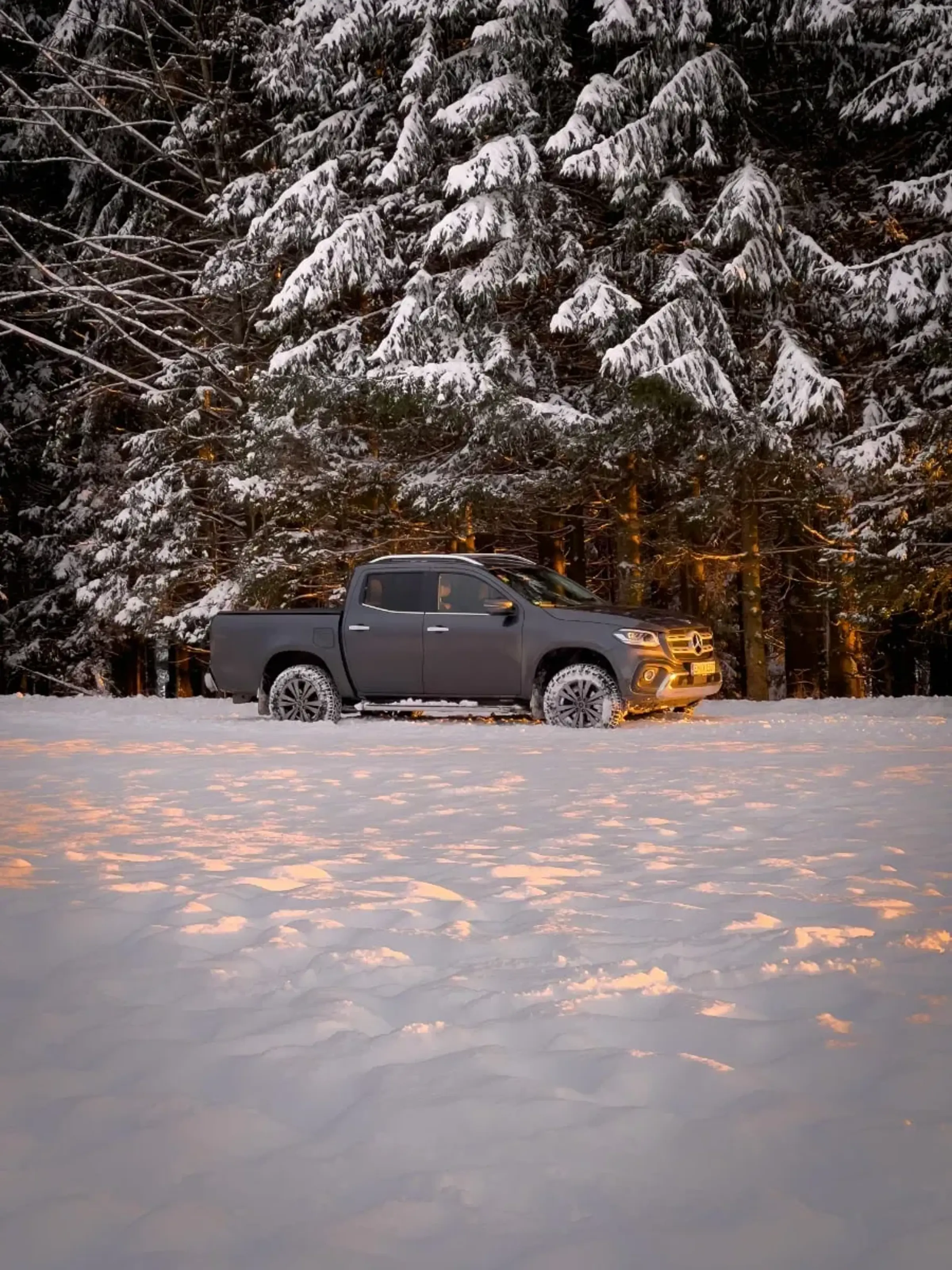 En grå pick-up bil står på helt snötäckt mark framför en barrskog. Träden är täckta av snö. Oranget ljus från solnedgången lyser på framsidan av bilen och på snön.