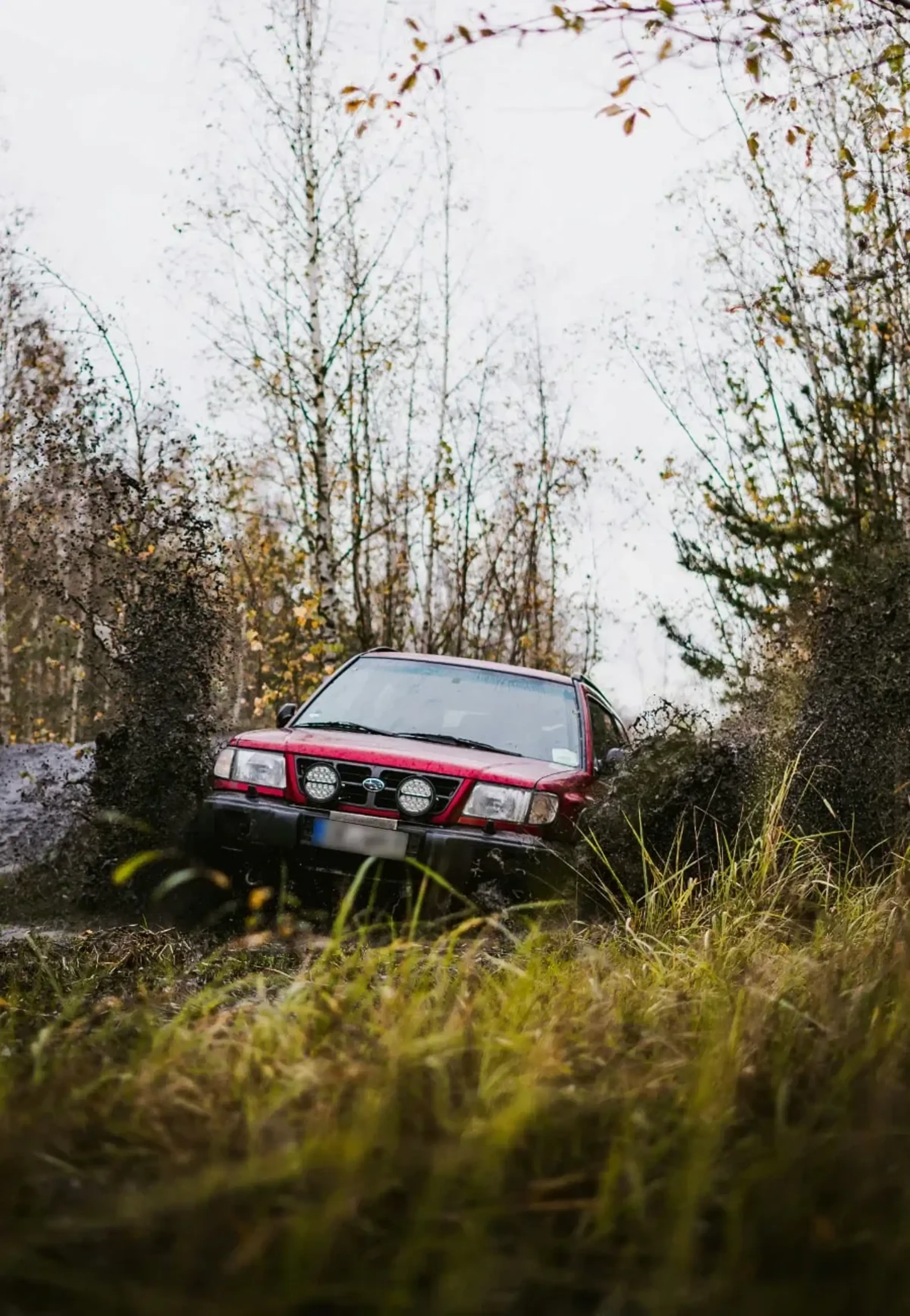 En röd bil sitter fast mellan träd, buskar och en sten. Bilden är tagen från marken med gräs intill kameralinsen. Det är grenar tätt på sidorna av bilen och bakom bilen.