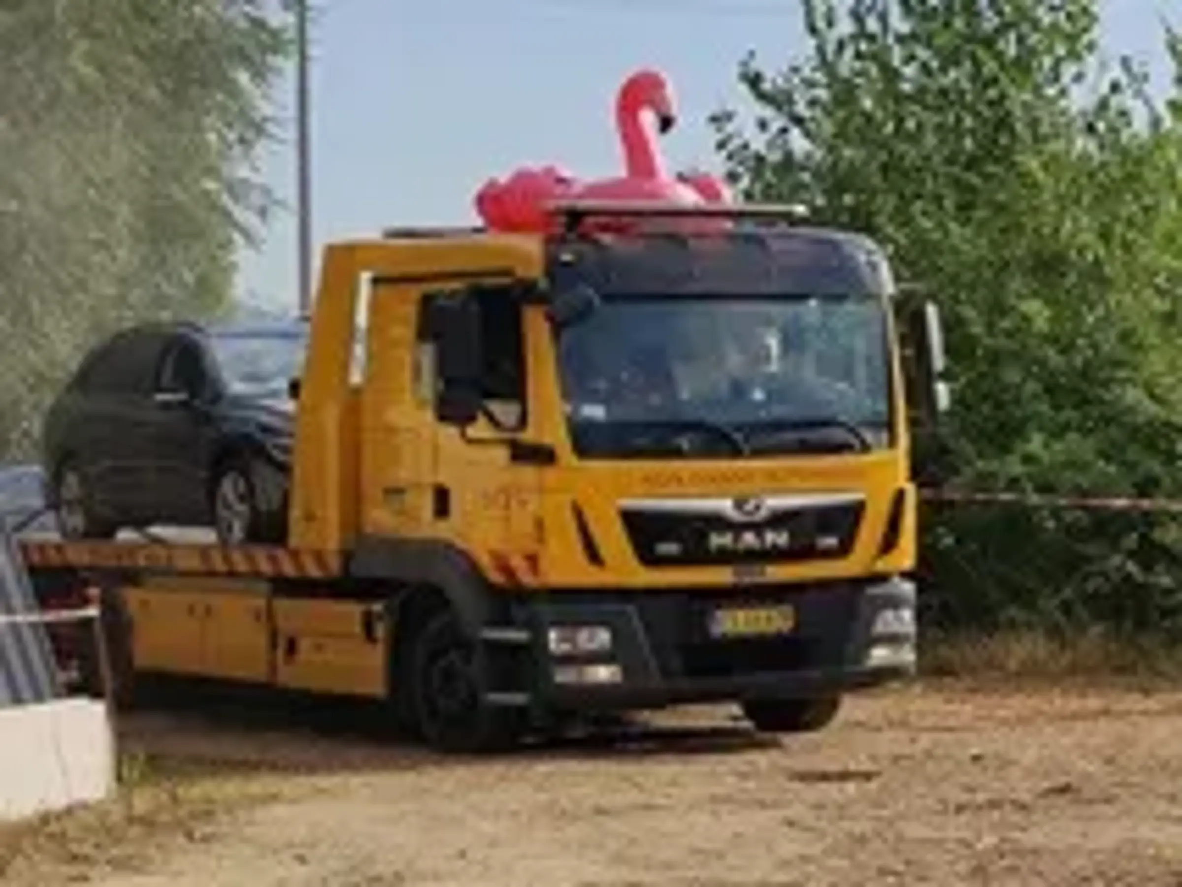 Halgstorm2