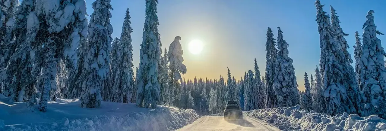 Vinter