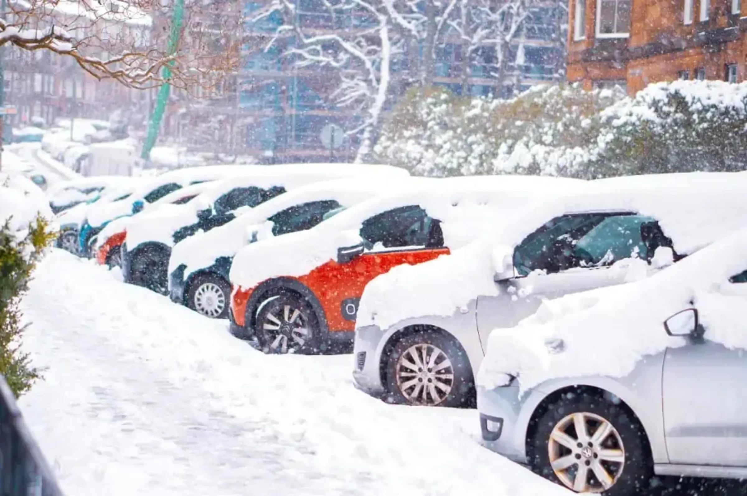Bilar i olika färger står snett på rad på en parkering bredvid en trottoar med ett snötäcke över sig. Bilarna är täckta av ett tjockt lager snö. I bakgrunden snöar det och det synts träd och byggnader täckta av snö.