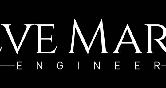 Mixing & Mastering Engineer - Steve Martin
