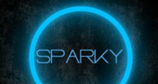 Music Producer / Singer - SPARKY