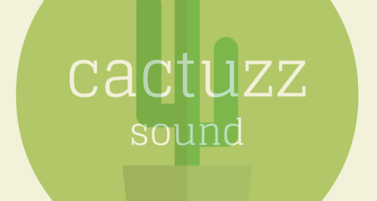 mix_master_PROduction - cactuzz_sound