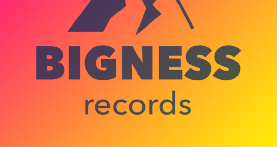Online Mixing & Mastering - Bigness Records