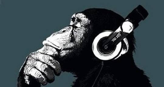 Remote Music Mixing&Mastering - Bad Monkey Music Productions