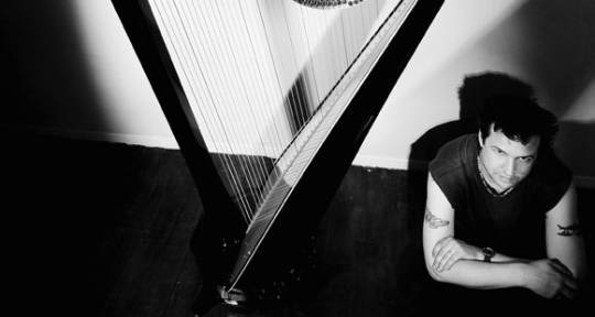 Remote session harpist - Tom Monger