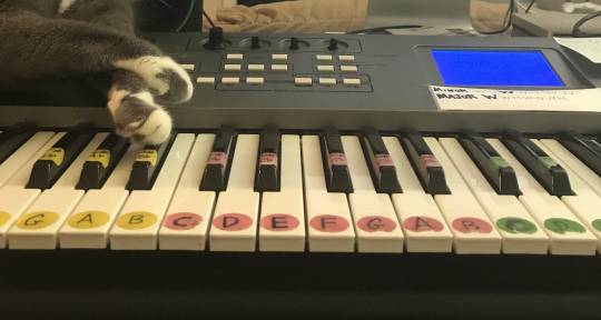 Film Score Composition - Adam Galloway