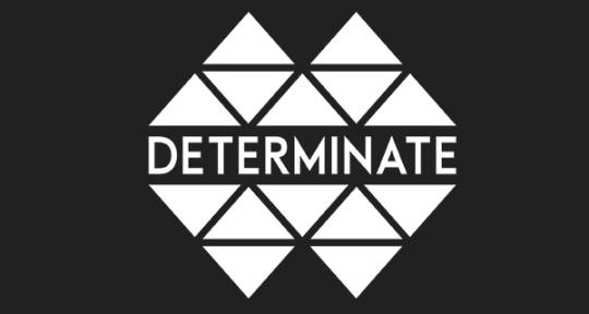 Pro Mixing and Mastering - Determinate Inc
