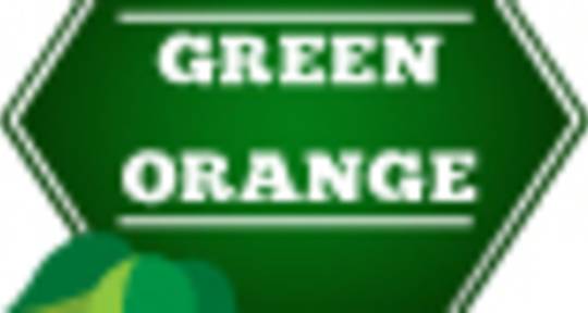 Music Producer Mixing Engineer - Green Orange Production