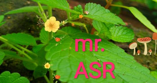 Lyrics writer - Mr. ASR