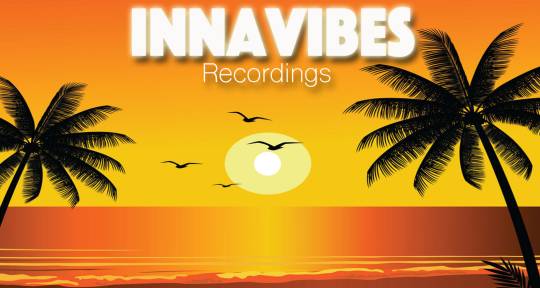 Music producer mix engineer - InnaVibes