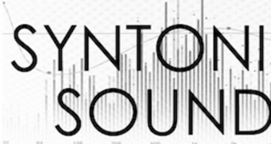 I'll make you sound good! - Syntonic Sound