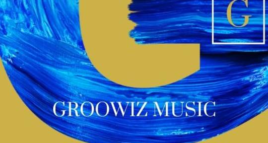 music producer - groowiz music