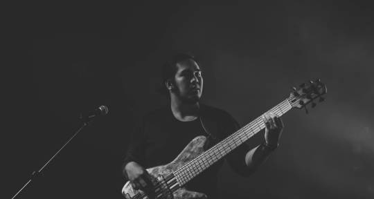 Session Bassist - Harrold Go