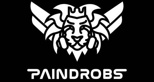 Music Producer - Paindrobs Production