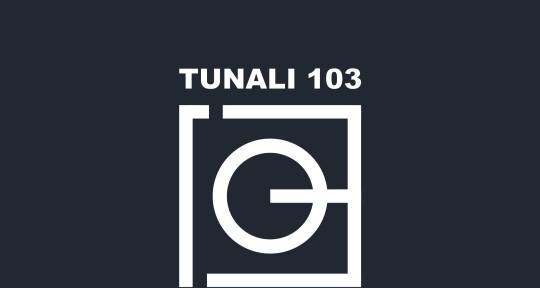 Music Producer, Audio Engineer - TUNALI103