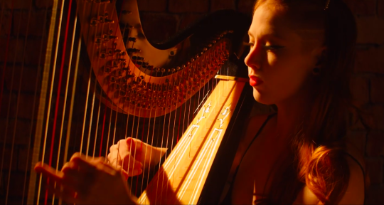 Los Angeles Harpist  - Pheobe Madison Schrafft