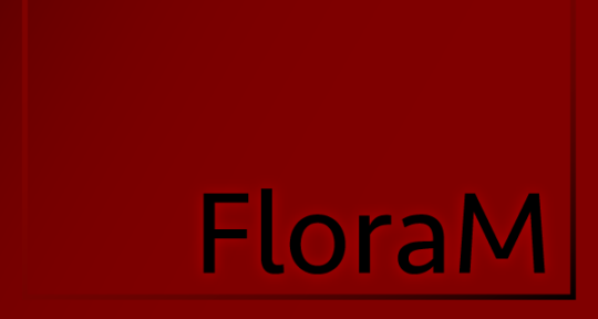 Producer, Studio, Writer - FloraM