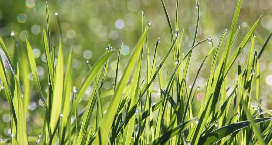 Conectar con la naturalez - Lara Lopez