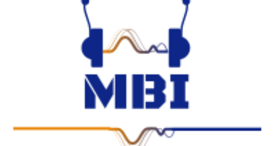 Producer Guitarist Songwriter - MBI