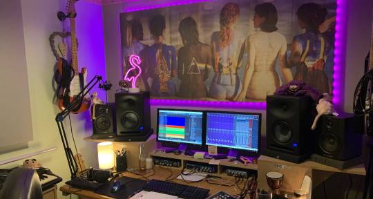 Mixing and Mastering  - Pink Flamingo Music Production