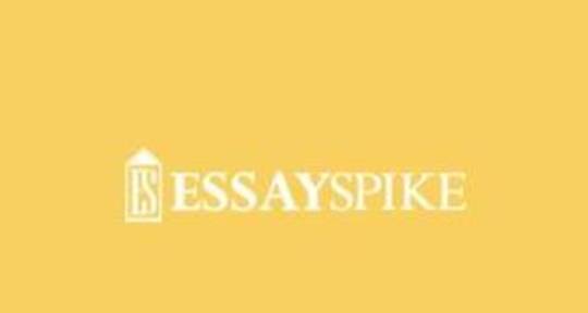 Essay Writing Service - EssaySpike