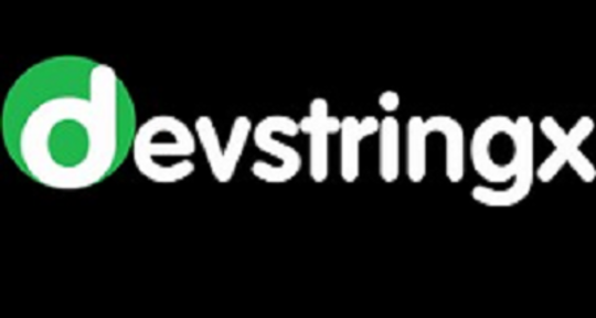 Developer - Devstringx Technologies