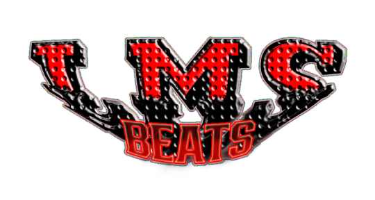 Music Producer, BeatMaker - LMS Beats