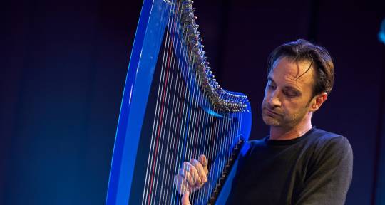 Electroharpist Remote Sessions - Raoul Moretti, Electroharpist