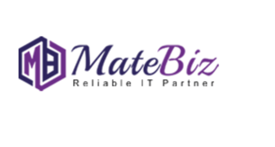 Matebiz Pvt. Ltd - Matebiz Pvt. Ltd