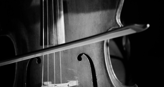 Cellist, Composer, Arranger. - DaniCello