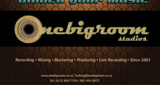 Recording, Mixing, Mastering - Ludwig Bouwer