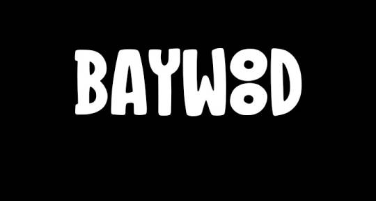 All Genre Audio Engineer - Baywood Audio