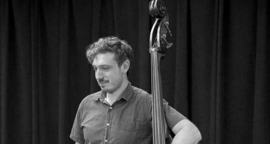 Upright and Electric Bass  - Dan Stein