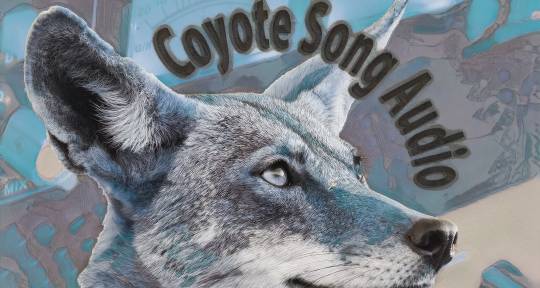 Mastering Music - Coyote Song Audio