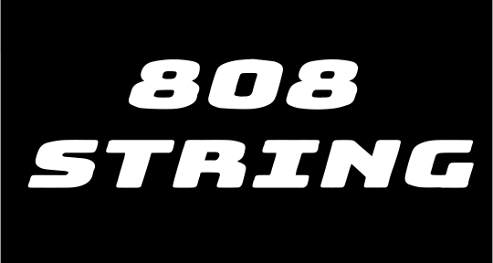 Multi-Genre Music Producer  - 808string