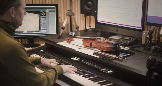 String arranger, film composer - Tormod Tvete Vik