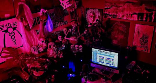 Any and All Audio - DeFi Productions