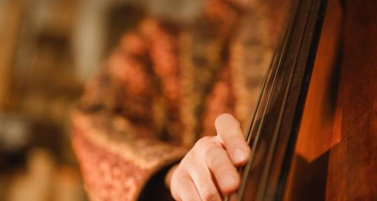 Bass Upright and Electric - Ari Z
