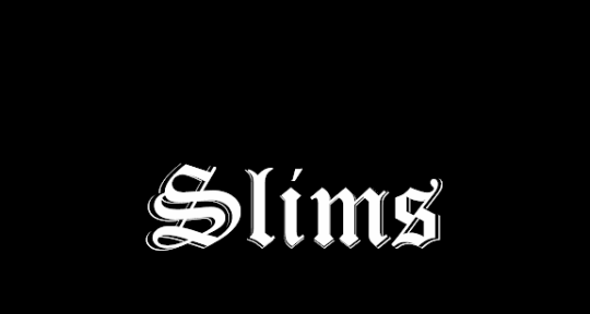 mix and master engineer  - slimz