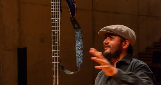 Bajista de sesion (bassist) - Luis Saavedra
