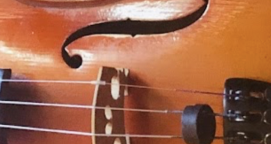 Violinist of 10+ years - Winter