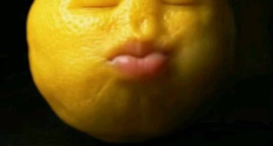 Experimental Music Producer - sutobus