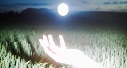 Audio Editing & Premix - LostMedia.wav